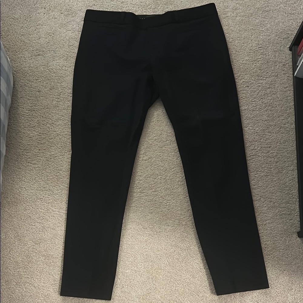 EEUCC Banana Republic Sloan Pants